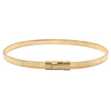 "Vintage" Belt